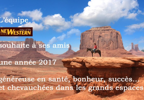 Les voeux de Newestern
