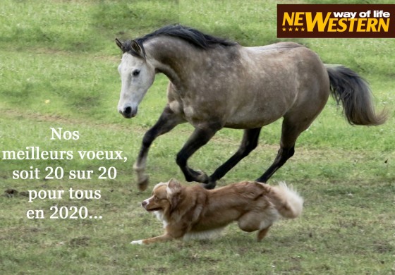 Belle année à toutes et tous !