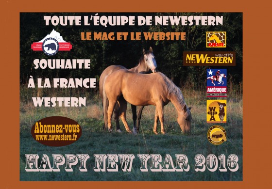 Beaucoup de bonheurs en 2016 !