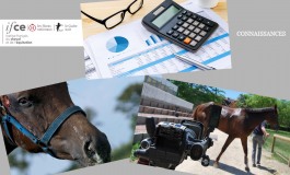 Optimiser la gestion de votre trésorerie ou découvrez la morphométrie… simplement depuis votre écran