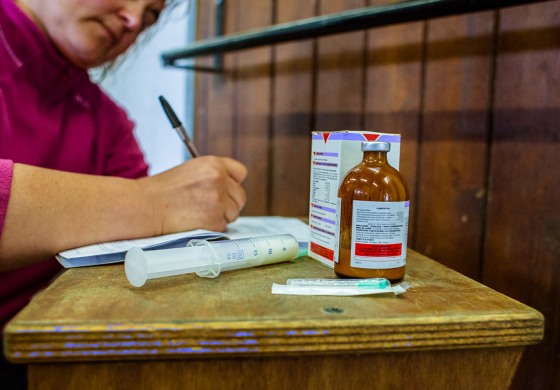 L’armoire à pharmacie de mon cheval