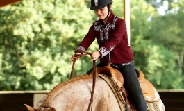 Equitation Western (FFE) en Rhône Alpes