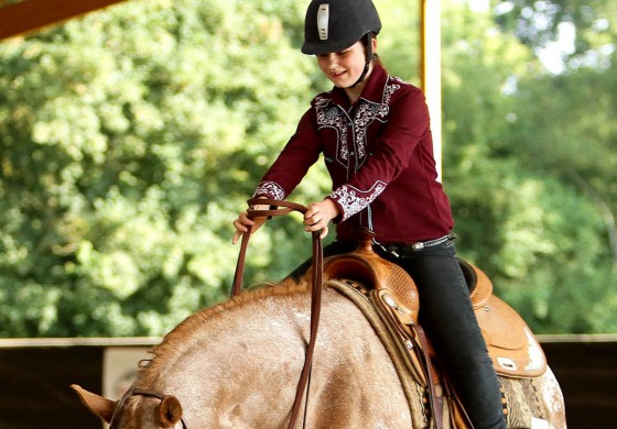 Equitation Western (FFE) en Rhône Alpes