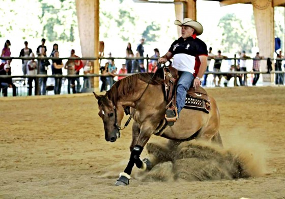 Valeille (42) – Guerreiro Stable – US Rez’volution – 19-20-21 juin 2015