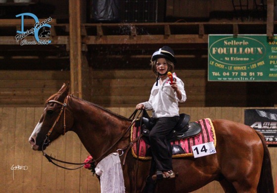 Cellieu (42) – 27,28 & 29 juin 2014 – Dc Reining Horses Classic 2014 - Domaine de Chaboud