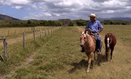 Ne manquez pas les soirées équitation western sur Equidia Life