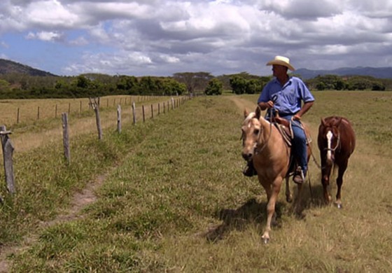 Ne manquez pas les soirées équitation western sur Equidia Life