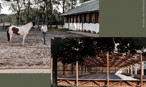 Grand Est : William Haar Performance vous ouvre ses portes le 26 septembre 2021
