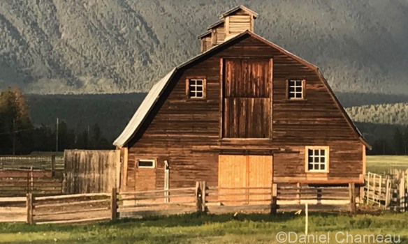 Le wwoofing version western, une expérience…