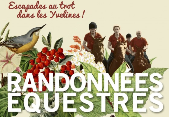 Les Yvelines ou le paradis des randonneurs