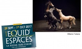 L’album photos du Théâtre équestre Zingaro à Equid Espaces 2017