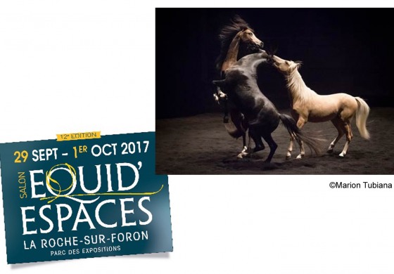 L’album photos du Théâtre équestre Zingaro à Equid Espaces 2017