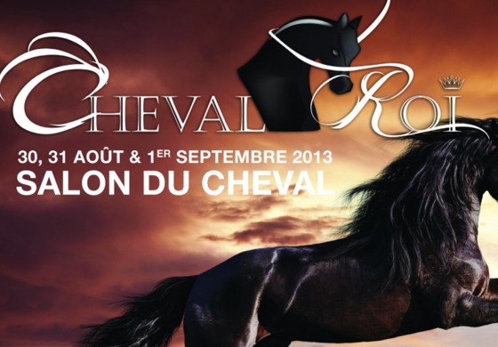 Cheval Roi (31) prépare son premier RV