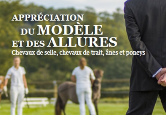 Un livre pour se former l’œil et décrire justement les chevaux