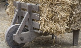 Comment faciliter le travail de maintenance à l’écurie ?
