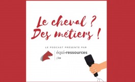 Métiers du cheval : bientôt des podcasts pour vous guider