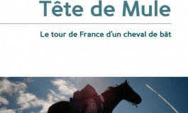 Quand un cheval raconte une histoire