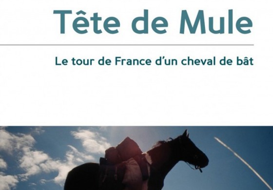 Quand un cheval raconte une histoire
