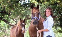 Quand les chevaux prennent l’avion…