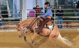 Reining : le compte-rendu, les photos du championnat NRHA France Le Pin (77) – 28 septembre au 2 octobre