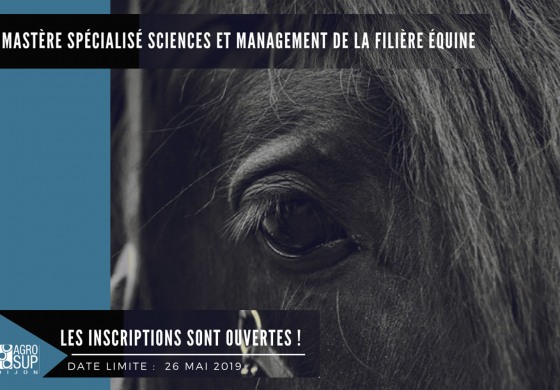 Tenté(e) par une carrière dans la filière équine ?