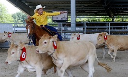 Scoop : l’UCAW organise en France le championnat d’Europe 2018 des disciplines de tri de bétail western