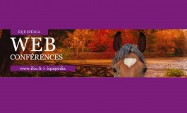 Enseignant indépendant, grippe équine… Deux sujets en question